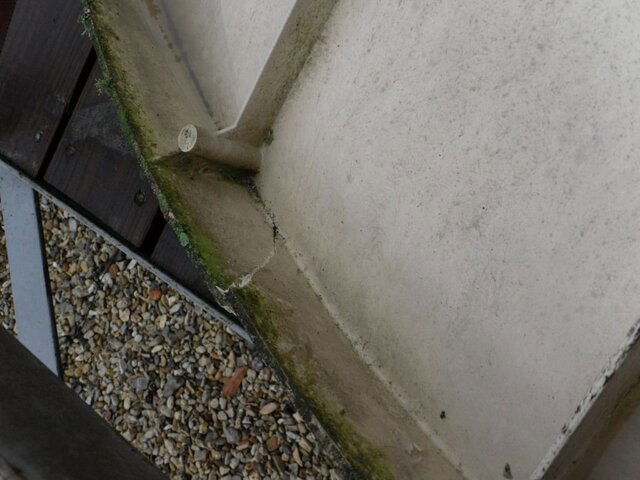 Dish Damage 3.JPG