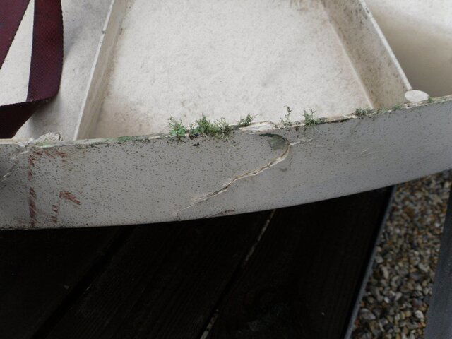 Dish Damage 2.JPG