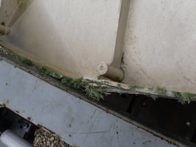 Dish Damage 1.JPG