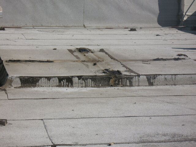 12ft Paraclipse removal 001.JPG