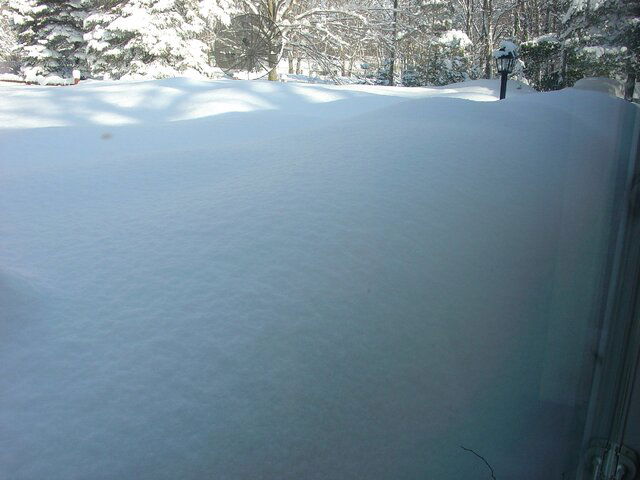 Picture 006.jpg
