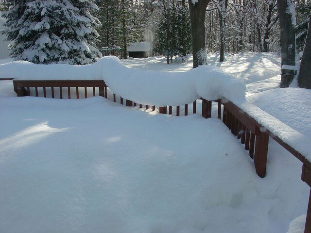 Picture 007.jpg