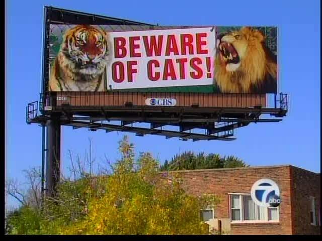 Beware_of_Cats_Billboa9d3bb5c9-223d-41f3-b2ad-6ea8c048a7bc0000_20111004194455_640_480.JPG