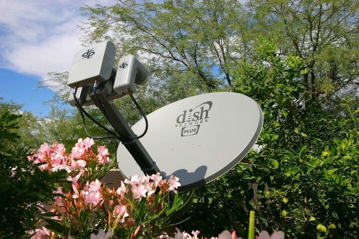 plusdish.jpg