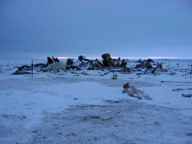DSC00404.JPG