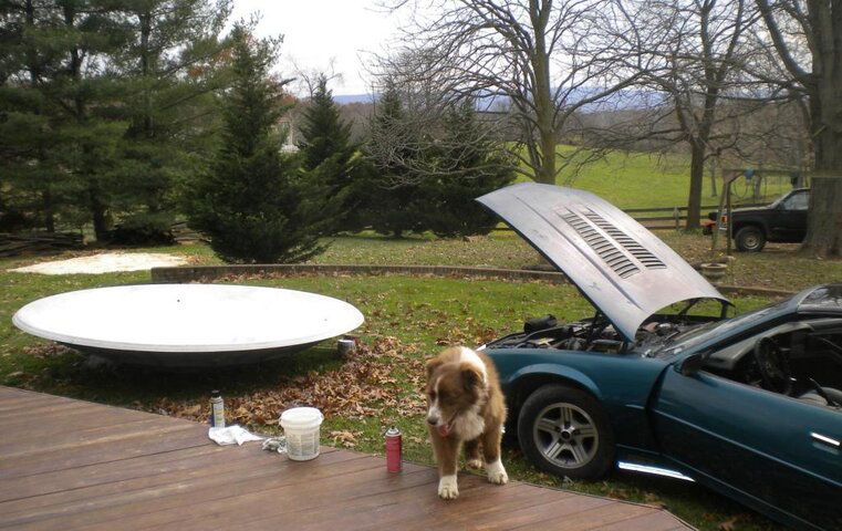 DishDogCar.JPG