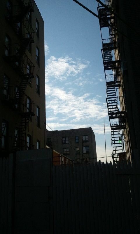 IMG_20120109_110943.jpg