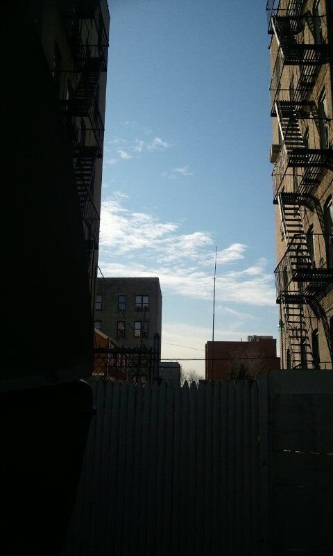 IMG_20120109_111019.jpg
