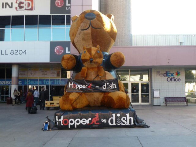 image-3316609496.jpg