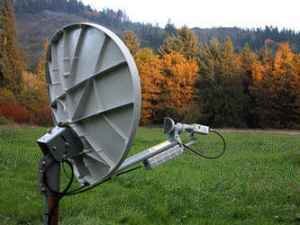 dish.jpg