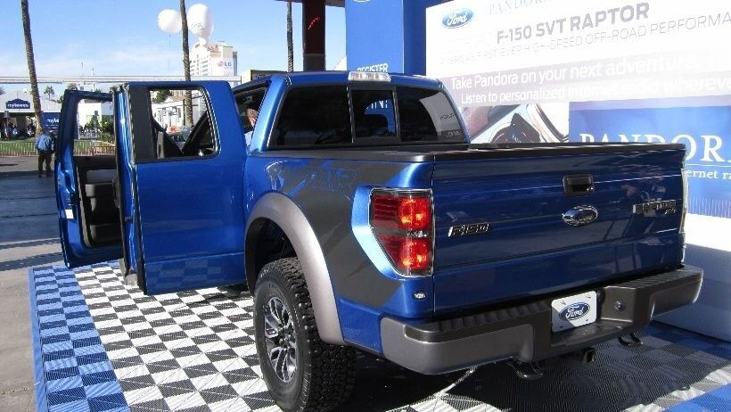 Raptor 1.JPG