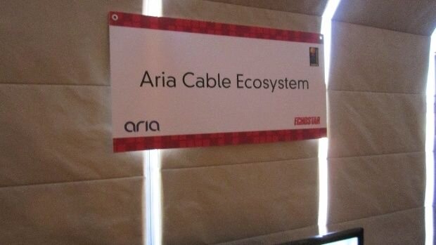 Aria.JPG