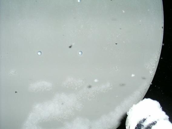 Pict0028.JPG