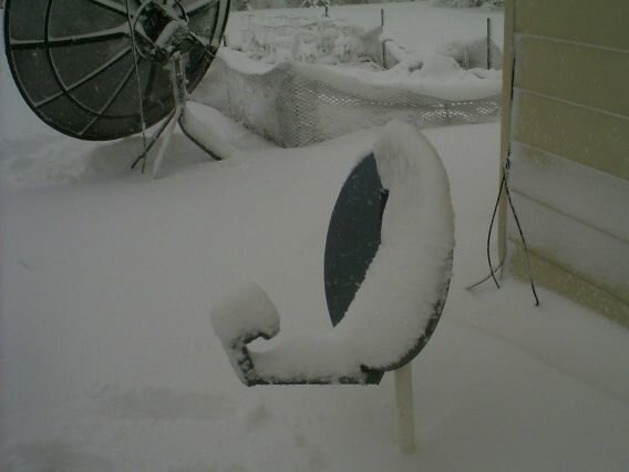 Pict0043.JPG
