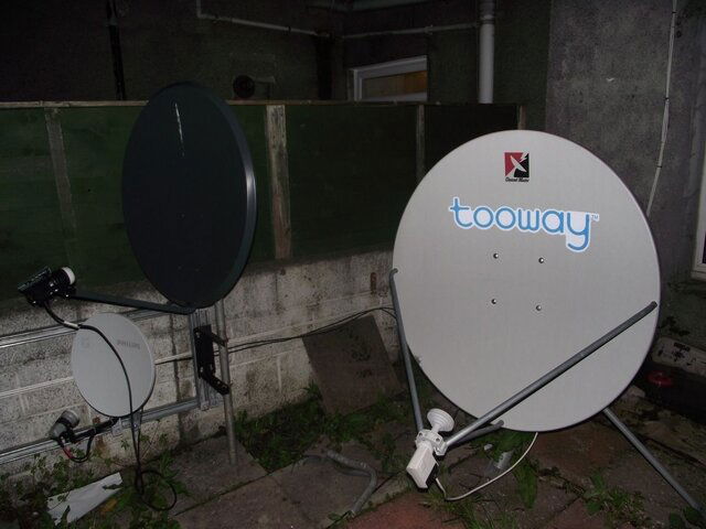 Dish 2.jpg