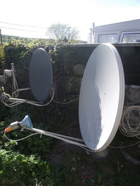 Dish 3.jpg