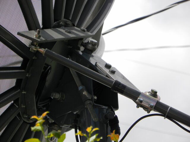 YardJun12 023.JPG