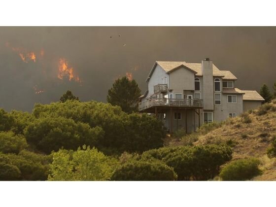 m69b6m-m69b63062612wildfire5962.jpg