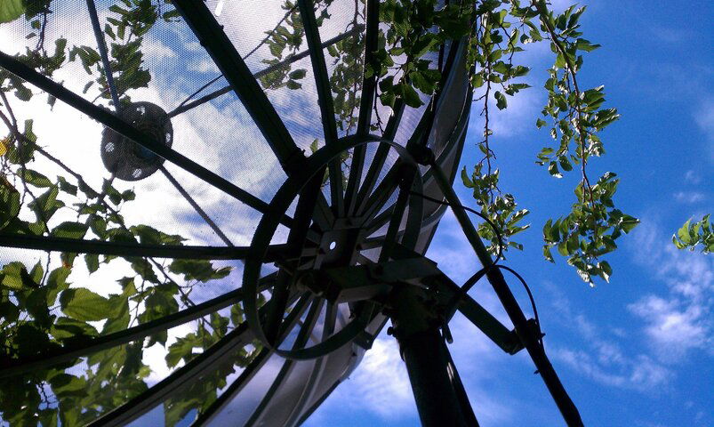 IMAG0108.jpg