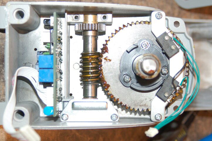 DSC_1203.JPG DSC_1203.JPG