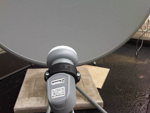 IMG01195-20121113-1352.jpg