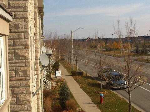 IMG01201-20121117-1209.jpg