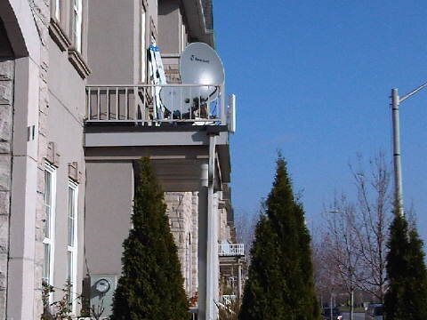 IMG01227-20121117-1319.jpg