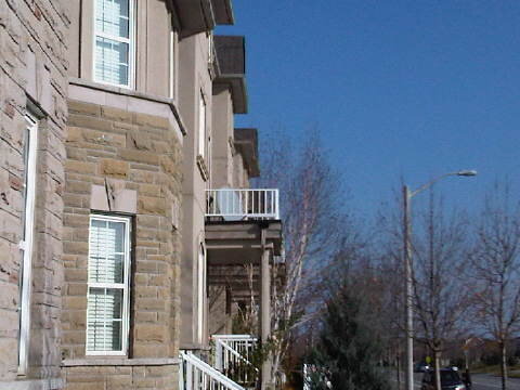 neighbours dish-20121117-1318.jpg