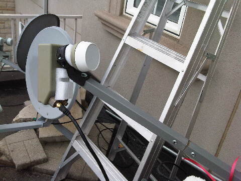 IMG01229-20121118-0936.jpg