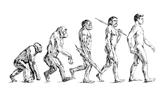 i-8c66c4d51330345ea25f9764619ec10e-human-evolution.gif i-8c66c4d51330345ea25f9764619ec10e-human-evolution.gif