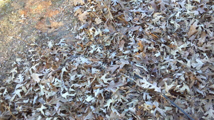 2012-11-25_08-32-31_637.jpg 2012-11-25_08-32-31_637.jpg