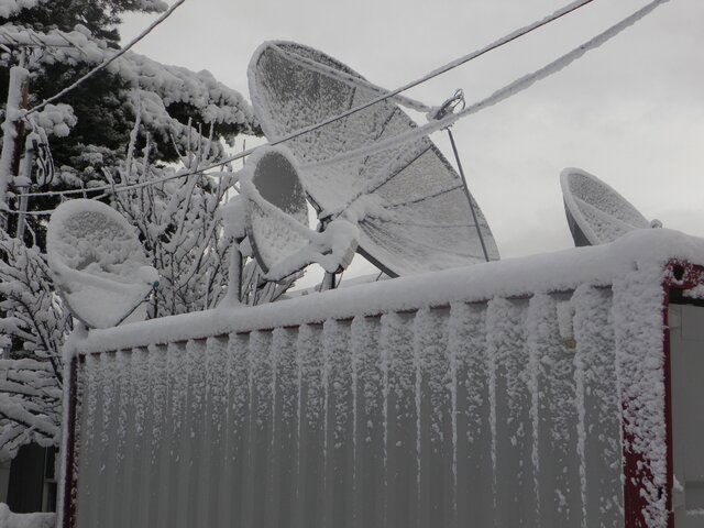 Snowdish 007.JPG