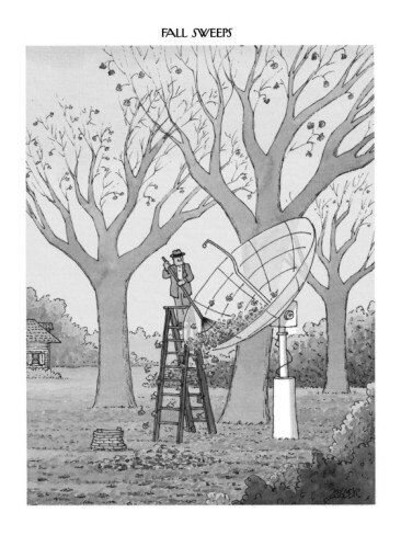 jack-ziegler-man-in-suburban-yard-rakes-leaves-out-of-huge-satellite-dish-new-yorker-cartoon.jpg