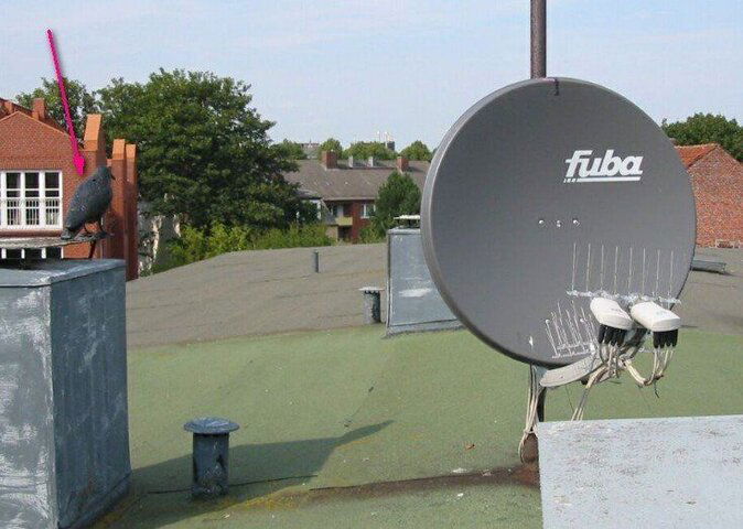 ???-????.jpg