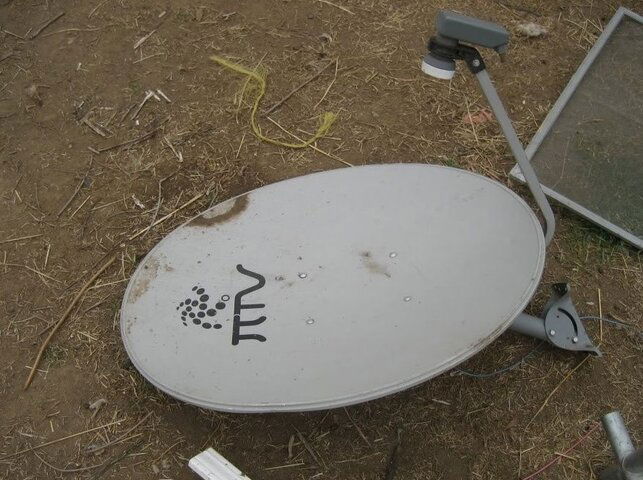dish.jpg