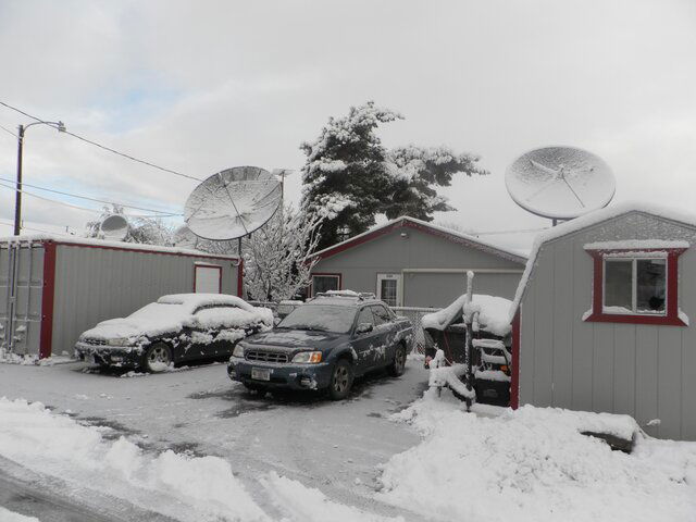 Snowdish 014.JPG