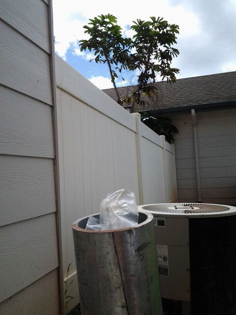 mount facing satellites East to SE.jpg mount facing satellites East to SE.jpg