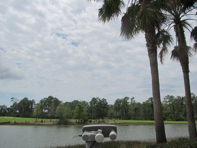 IMG_0948.JPG