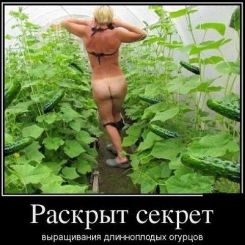 Ð’Ñ‹Ñ€Ð°Ñ‰.Ð¾Ð³ÑƒÑ€.jpg