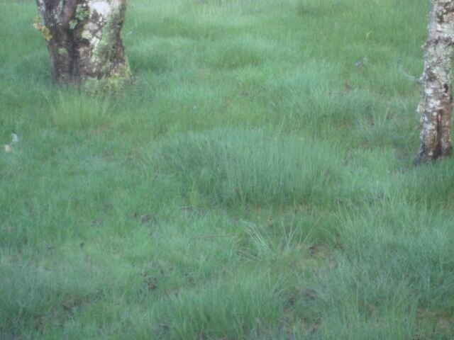 DSC05015.JPG