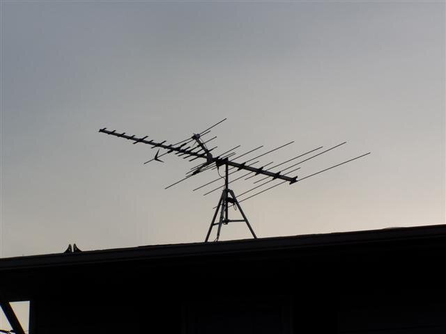P1010041 (Small).JPG