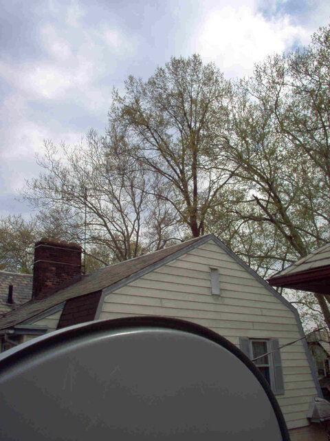 dish03.jpg