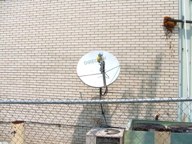 DSCF0359.JPG