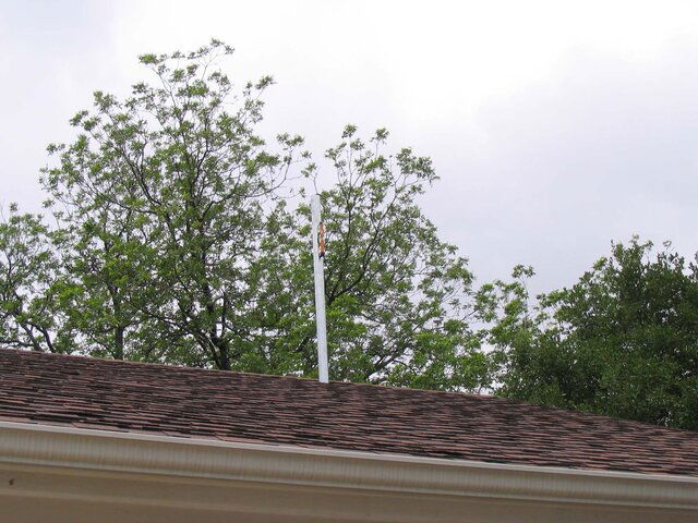 IMG_1353.JPG