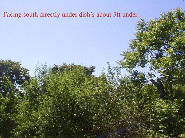 DCP_0006_copy.jpg