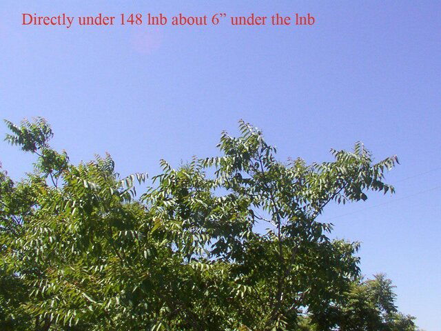 DCP_0009_copy.jpg