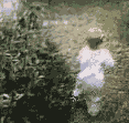 funny_10.gif