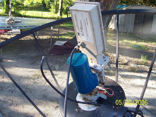 100_4435 (Large).JPG