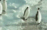 myspace-codes-animations-30.gif