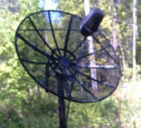 6' dish.jpg